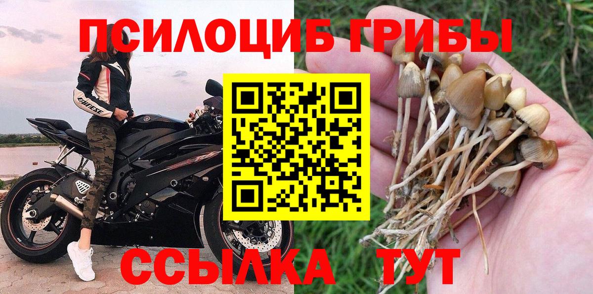 Псилоцибиновые грибы прущие грибы Москва