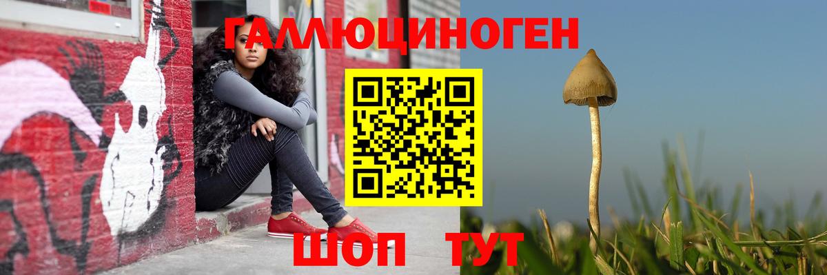купить   Вход с VPN  Москва  Псилоцибиновые грибы Psilocybe 